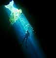 Diver and Light Beam
