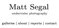 Matt Segal - underwater photography